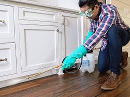 Best Pest Prevention Services  in Rock Island, IL